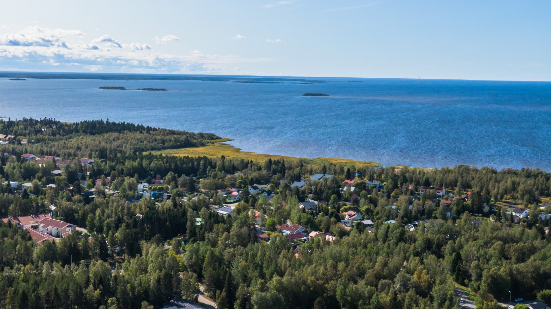 ilmakuva merellisestä maisemasta, jossa näkyy metsää ja taloja linuperspektiivistä.