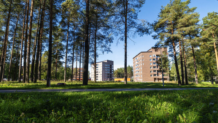 Asuinkerrostaloja mäntymetsän keskellä, aurinkoinen piha-alue.