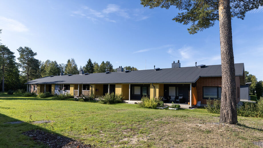 Puurakenteinen rivitalo, nurmipiha ja taustalla mäntymetsää.