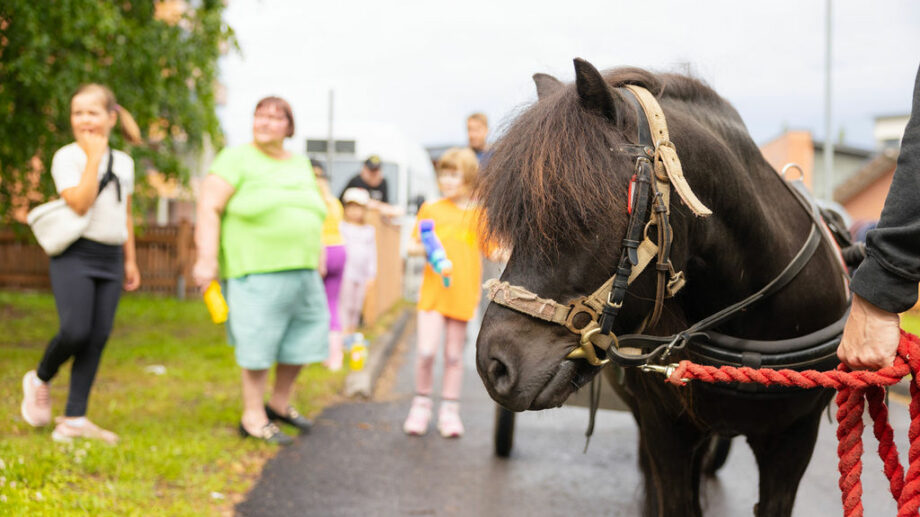 Kuvassa näkyy poni, jota talutetaan ulkona. Poni on varustettu suitsilla ja sitä pitelee henkilö punaisella narulla. Taustalla on joukko ihmisiä, jotka seuraavat tilannetta, joukossa on lapsia ja aikuisia. He näyttävät osallistuvan johonkin ulkoilmatapahtumaan tai aktiviteettiin.