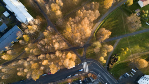 Ilmakuva syksyisestä puistosta, jossa on oransseja ja keltaisia puita, risteäviä kävelyteitä sekä katu, jossa on suojateitä ja pysäköityjä autoja. Auringonvalo luo pitkiä varjoja, mikä tuo syvyyttä syksyiseen maisemaan.