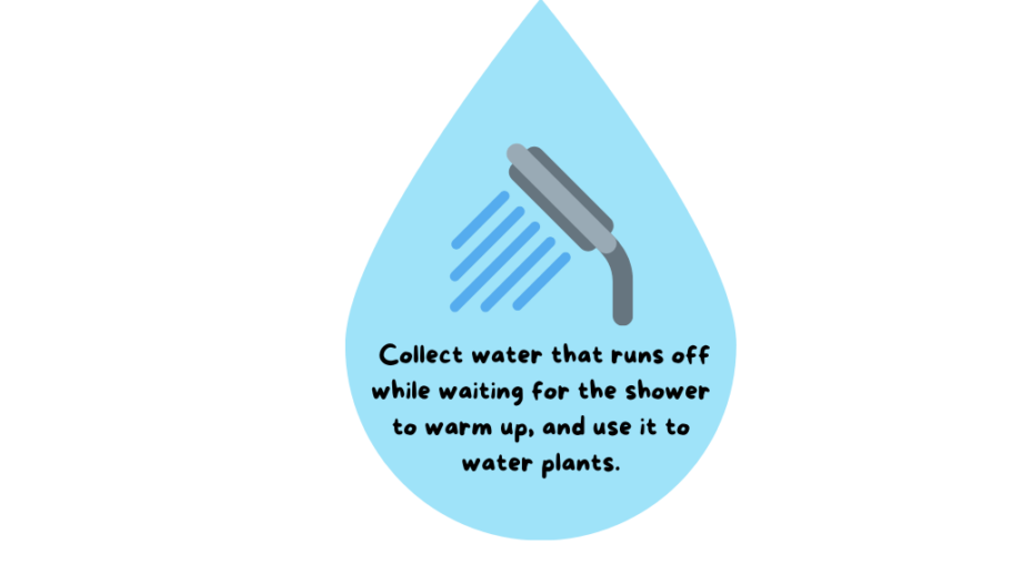 Water-saving tip: An illustration of a showerhead with water flowing. Text reads: "Collect water that runs off while waiting for the shower to warm up, and use it to water plants."