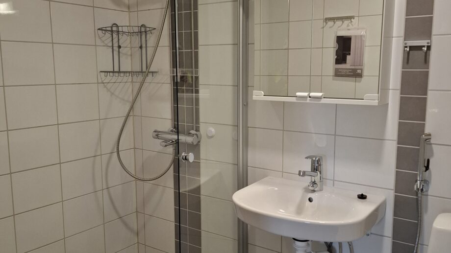 Laatoitettu kylpyhuone, jossa on suihku, lasinen suihkuseinä, pesuallas ja peilikaappi valaistuksella.